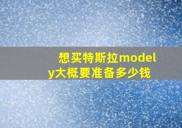 想买特斯拉model y大概要准备多少钱